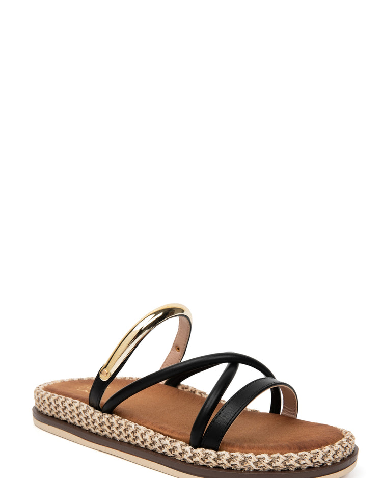 Amber Black Slides