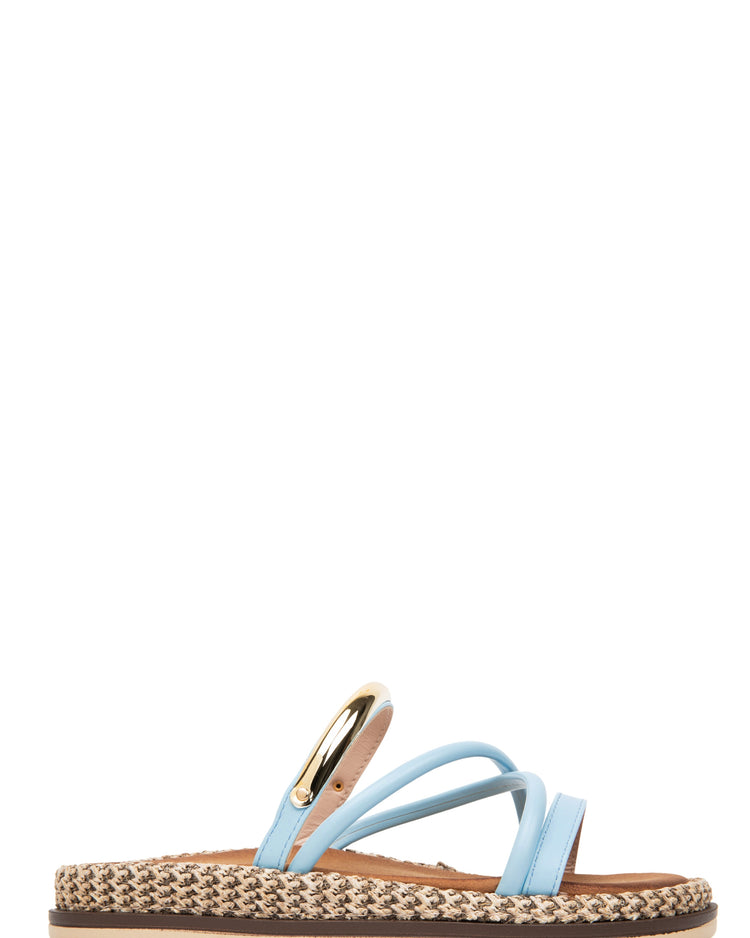 Amber Blue Slides