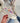 Pleun Low Multi Sneaker