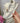 Martine Beige Sneaker