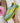 Ayse Yellow Sneaker