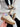 Rowy Beige Sneaker