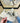 Shannon Beige Sneaker