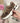 Viva Brown Sneaker