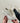 Shannon Beige/Green Sneaker