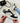 Schwarzer Latoya-Sneaker