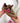 Tiana Brown Sneaker