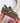 Ramona Green Sneaker