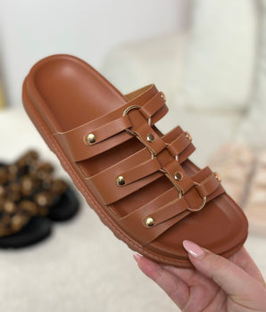 Anita Camel Slides