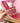 Gaby Fuchsia Slides