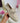 Colette Beige Loafer