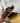 Romilda Brown Sneaker