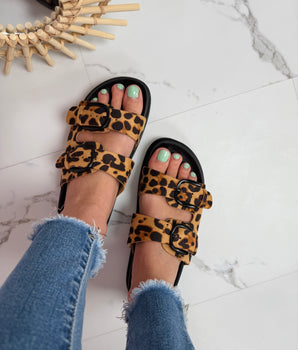 Rikki Leo Slides
