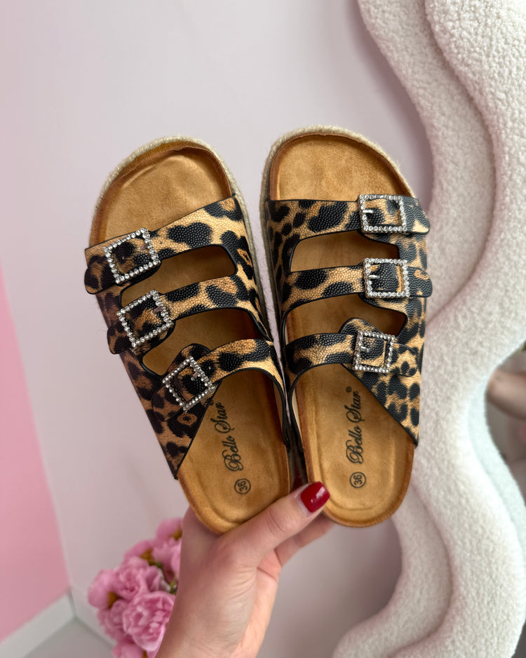 Liora Leo Slides