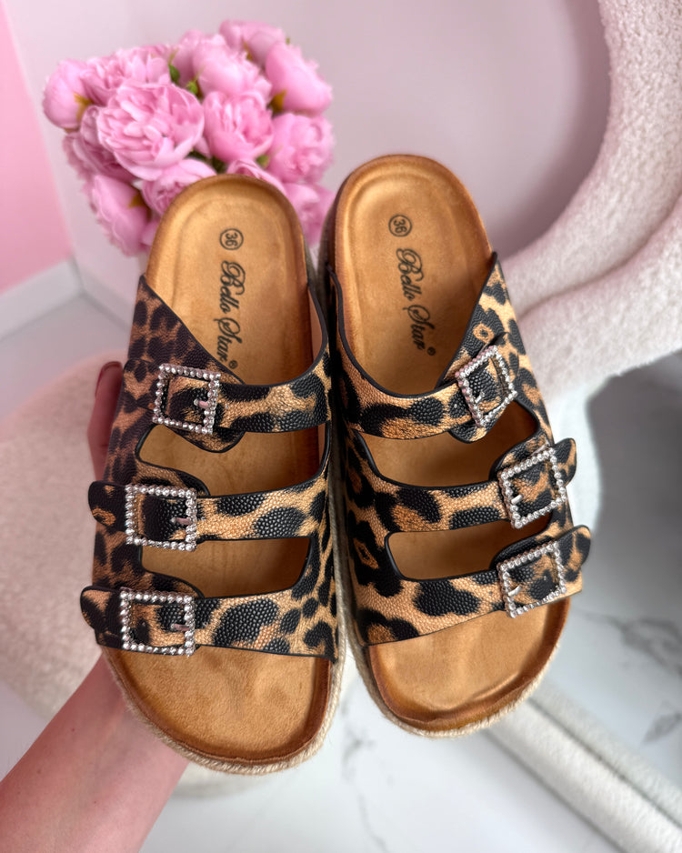 Liora Leo Slides