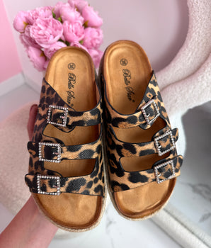 Liora Leo Slides