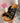 Liora Black Slides