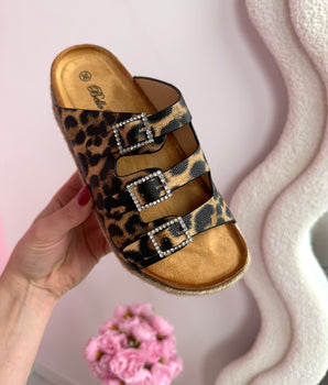 Liora Leo Slides