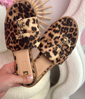 Bliss Leo Slides