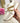 Charifa Beige Sneaker