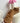 80 Camel Boots BK