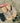 Merel Beige Slipper