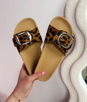2002 Leo Slides