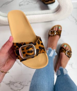 2002 Leo Slides