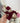 Cinta Burgundy Sneaker