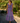 Iris Maxi Dress - Blue