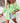 Oversized Stripe Blouse Green