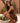 Zaira Brown Sandaal