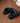 Gisella Black Slides