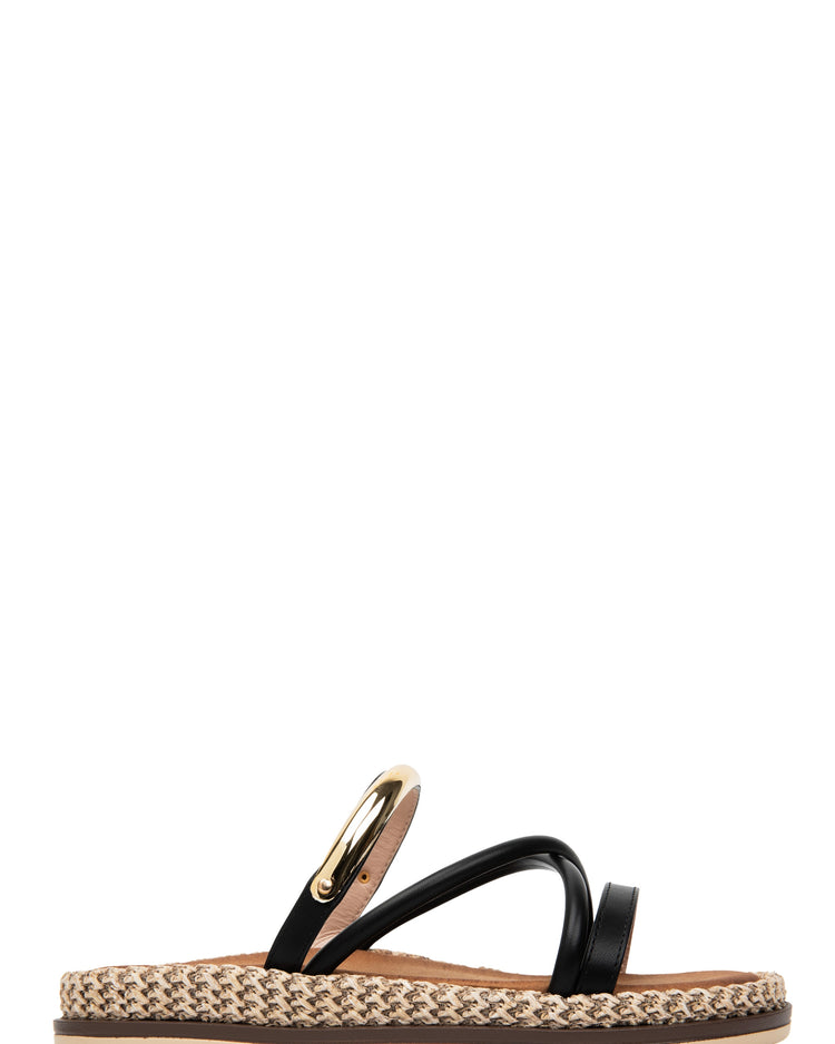 Amber Black Slides
