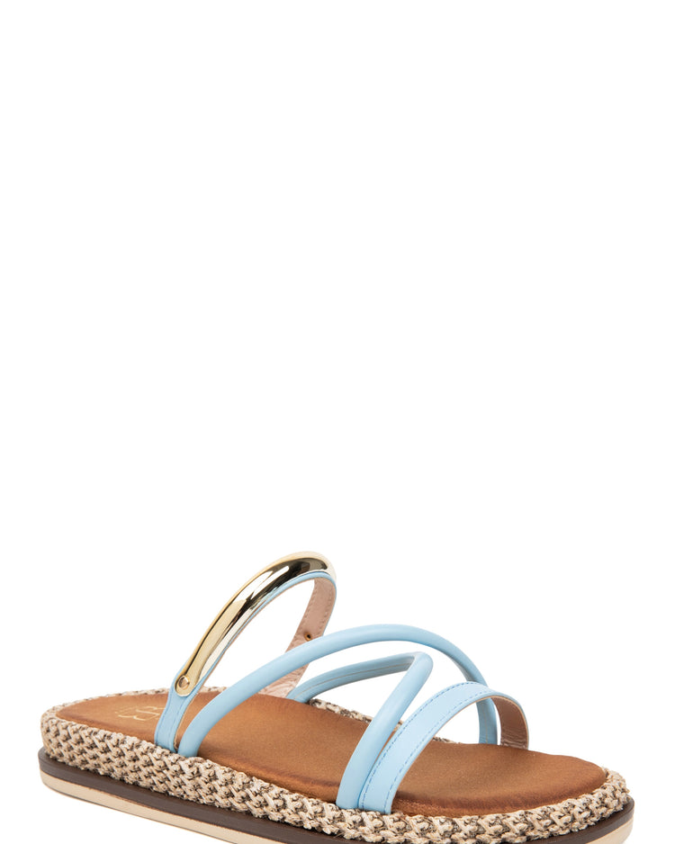 Amber Blue Slides