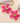 Big Flower Oorbel