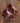 Noeme Wine Sneaker