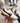 Sporting White Sneaker