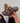 Studded Brown Slides