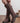 Triple Buckle Boots - Brown in Brown - foto 2